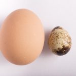 卵は葉酸を含む完全栄養食品